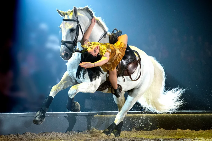 Cavalluna "Die Farben des Lebens"