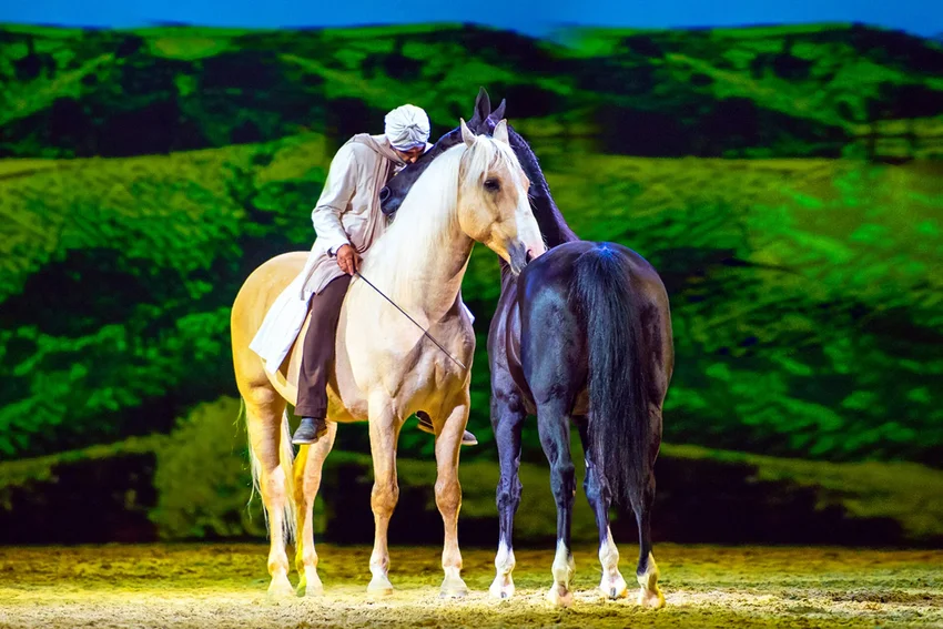 Cavalluna "Die Farben des Lebens"