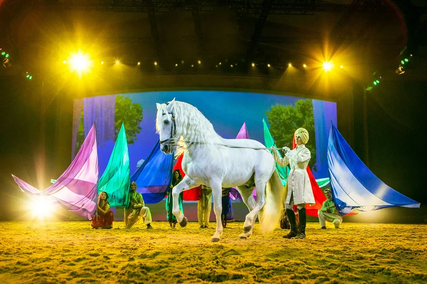 Cavalluna "Die Farben des Lebens"