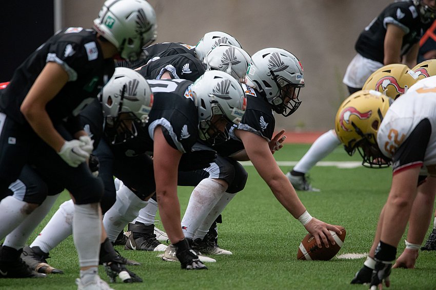 Swarco Raiders Tirol - Vienna Vikings - AFL