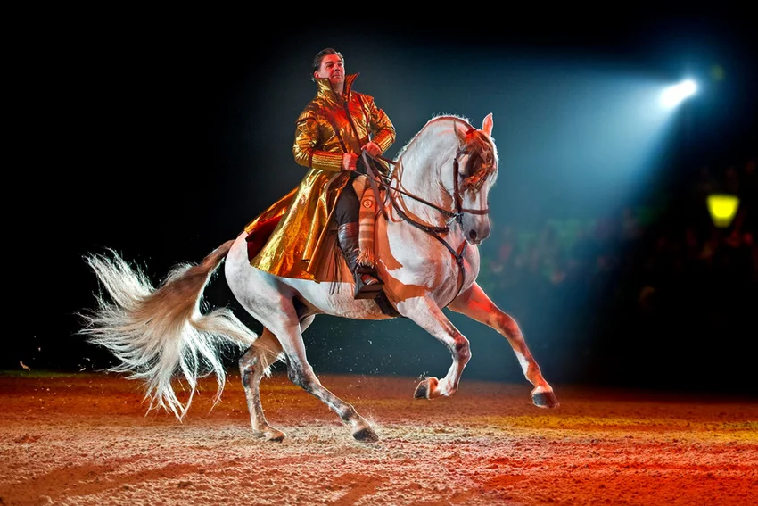 Cavalluna "Die Farben des Lebens"