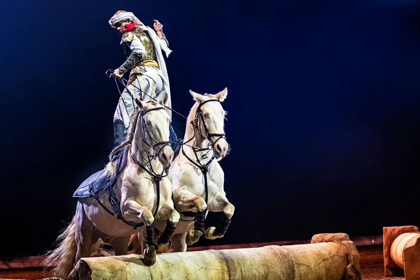 Cavalluna "Die Farben des Lebens"