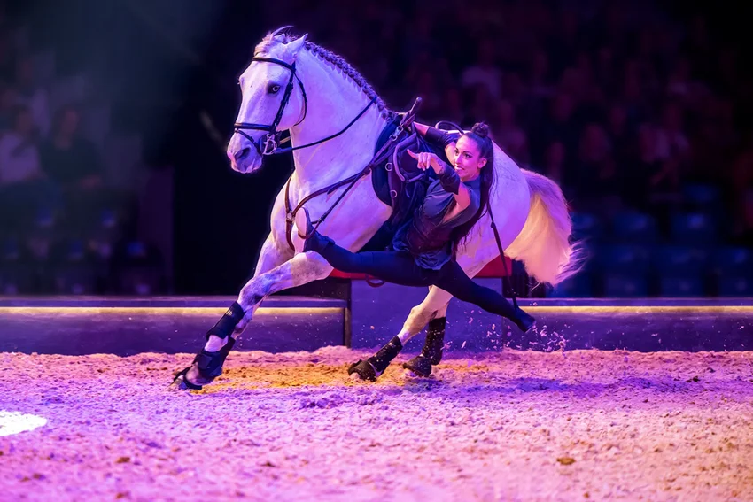 Cavalluna "Die Farben des Lebens"