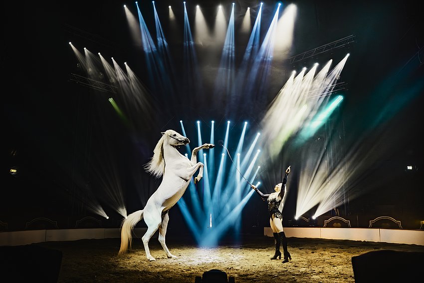 Circus Louis Knie "Celebrate!"