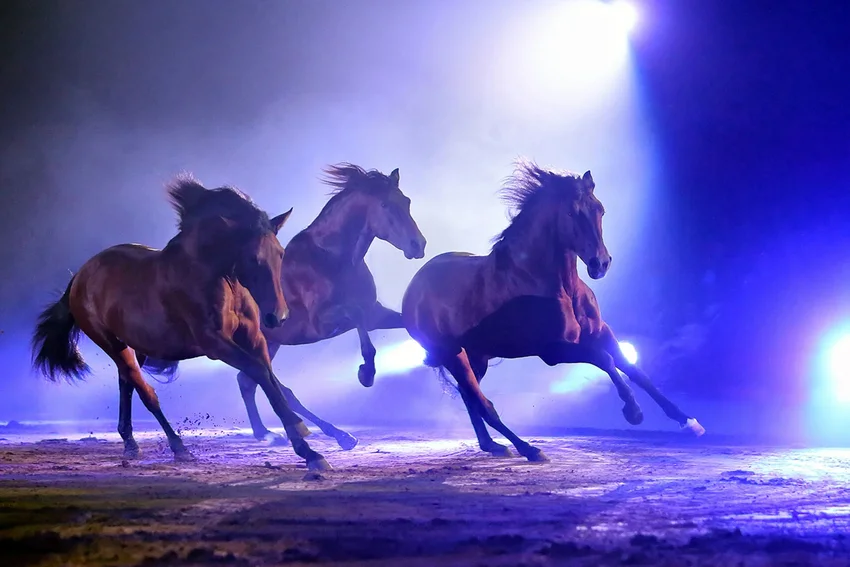 Cavalluna "Die Farben des Lebens"