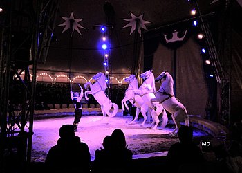 Circus Berlin 2023