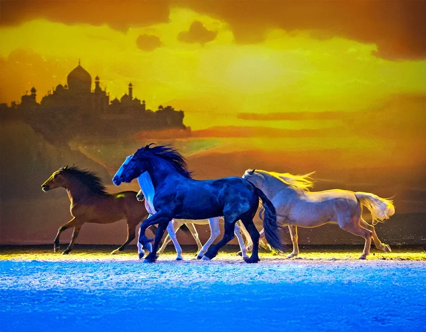 Cavalluna "Die Farben des Lebens"