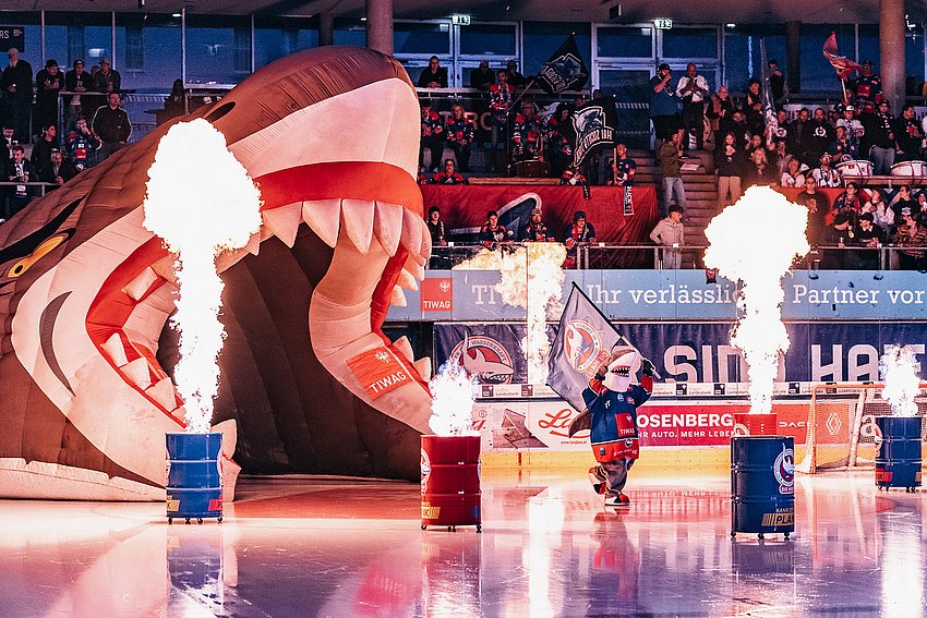 Haie-Fest 2026 & Vorbereitungsspiel